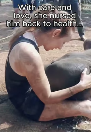 G2605012 Animals always remember (Part 2)