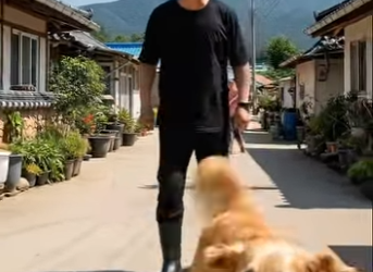 Y2605008 Dogs’ Friends Team Up to Teach Black-Clad Man a Lesson for Spray-Painting a Puppy (Part 2)
