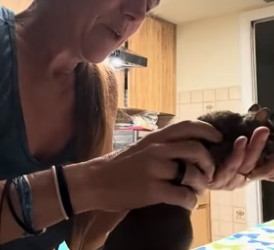 Stuck Squirrel Rescue Story �️ Squirrel Stuck in a Tight Space��️ What Happens Next Is Insane (Part 2)