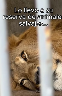 Los Asustó A Todos❤️ (Part 2)