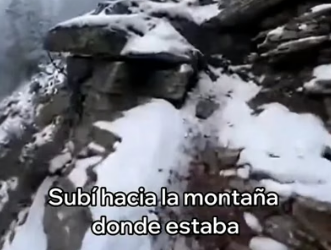 A2705007 Este Cuervo Salvó a Un Cachorro De Lobo (Part 2)