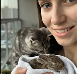 V0405002 He saved a baby rabbit in the flood and then this happened (Part 2)
