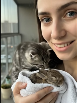 V0405002 He saved a baby rabbit in the flood and then this happened (Part 2)