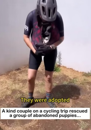 W2605011 Puppy Was Adopted But His Reaction Says Everything (Part 2)