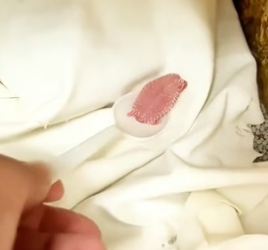 H3005001 A young lady rescued a newborn hedgehog and cared for the tiny baby with endless love. (Part 2)