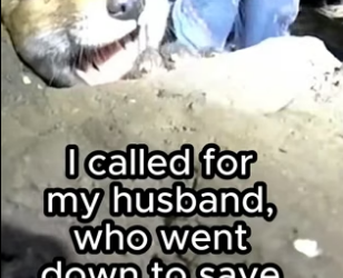 T2605012 Animals need hope (Part 2)