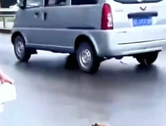H0205011 man saved poor puppy on road (Part 2)