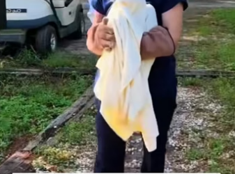 W0205014 kind family rescued an injured owl then (Part 2)