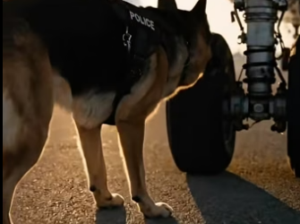 Y0505001  K9 Dog Stopped Boeing What It Found Saved Everyone (Part 2)