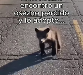 R0606002 Encontraron un Osezno y lo Adoptaron, hasta que (Part 2)