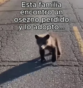 R0606002 Encontraron un Osezno y lo Adoptaron, hasta que (Part 2)