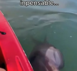 A0606005 Security cameras captured the abandonment, but human hearts captured the rescue (Part 2)