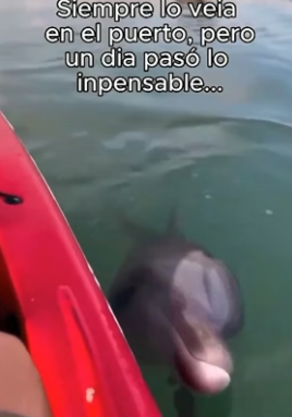 A0606005 Security cameras captured the abandonment, but human hearts captured the rescue (Part 2)