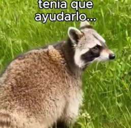 V0706004 No Me Lo Esperaba❤️ Sumérgete en un mundo donde personas y animales forjan lazos intensos capaces de (Part 2)