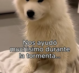 A0806008 No Podia Dejarlo Fuera❤️ (Part 2)