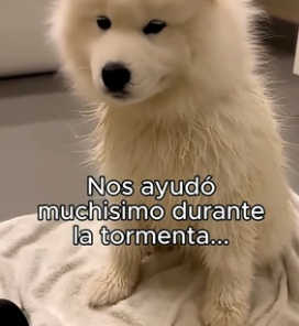 A0806008 No Podia Dejarlo Fuera❤️ (Part 2)