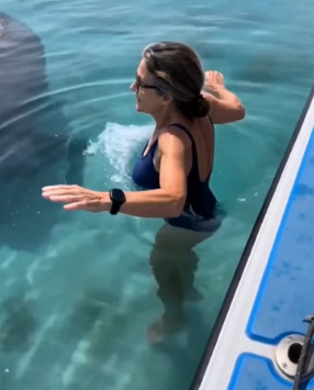 My 72-year-old mother saw a young manatee in trouble in the Florida Keys (Part 2)