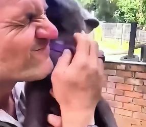 W3005004 This kind family found a lost baby hyena alone on the road and decided to give it a second chance at (Part 2)