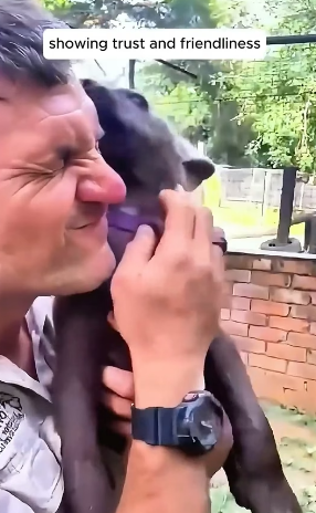 W3005004 This kind family found a lost baby hyena alone on the road and decided to give it a second chance at (Part 2)
