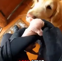 P0906007 She was rejected for being ugly… then 1 year later THIS happened! (Part 2)