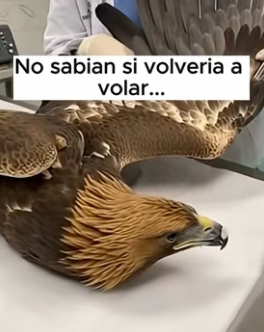 A1006010 Cuando la tecnología encuentra la tragedia natural… esto sucede. (Part 2)