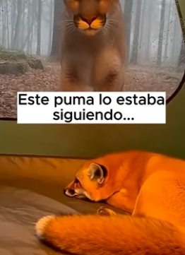 A1006008 Algunas elecciones definen no solo su vida, sino la nuestra. (Part 2)