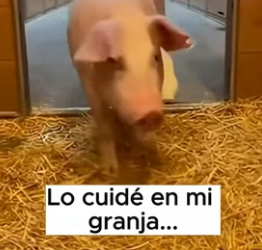 A1006009 A veces, salvar una vida solo requiere parar el auto y actuar. (Part 2)