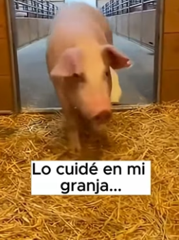 A1006009 A veces, salvar una vida solo requiere parar el auto y actuar. (Part 2)