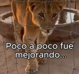 A1006011 Cuando el calor no perdona… solo los más fuertes sobreviven (Part 2)