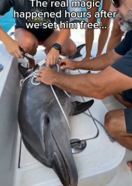 T1006010 Vacation gone wrong but got a surprise that made it worth it! (Part 2)