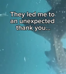 T1006004 The ocean thanked them (Part 2)