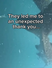 T1006004 The ocean thanked them (Part 2)
