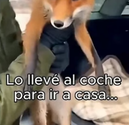 A1206009 Que les pareció esta historia (Part 2)