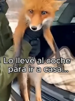 A1206009 Que les pareció esta historia (Part 2)