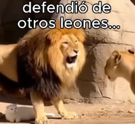 A1206010 Algunas elecciones definen no solo su vida, sino la nuestra. (Part 2)