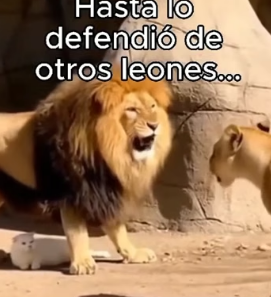 A1206010 Algunas elecciones definen no solo su vida, sino la nuestra. (Part 2)