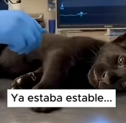 A1206002 A veces, el universo nos pone frente a lo que necesitamos ver (Part 2)