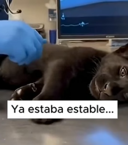 A1206002 A veces, el universo nos pone frente a lo que necesitamos ver (Part 2)