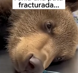 A1206003 Cuando el termómetro marca bajo cero, la verdadera fortaleza sale (Part 2)