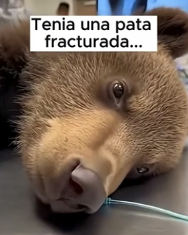 A1206003 Cuando el termómetro marca bajo cero, la verdadera fortaleza sale (Part 2)