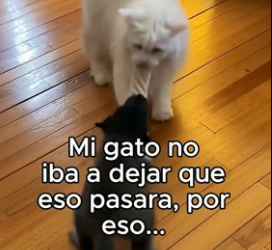 V1206011 Volvieron A Casa❤️ (Part 2)