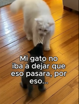 V1206011 Volvieron A Casa❤️ (Part 2)