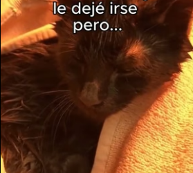 V1206012 Tubo Su Recompensa❤️ (Part 2)