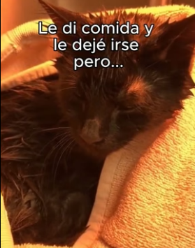 V1206012 Tubo Su Recompensa❤️ (Part 2)