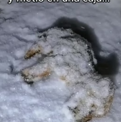 Espera al final (Part 2)