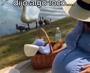 B1206010 El poder de las madres ❤️ (Part 2)