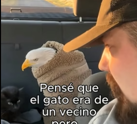 B1206011 Pensé Que Seria Un Problema❤️ (Part 2)