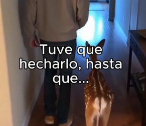 B1206007 Nuevo miembro de la familia ❤️ (Part 2)