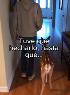 B1206007 Nuevo miembro de la familia ❤️ (Part 2)