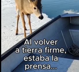 B1206012 Pensó Que Se Haria Famoso❤️ (Part 2)